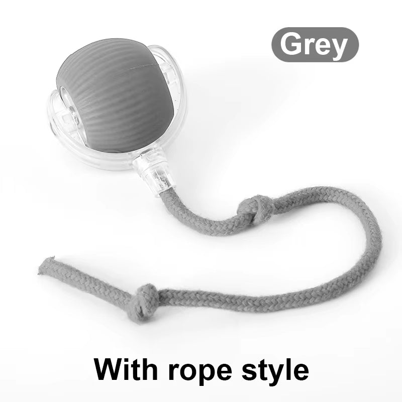Dog and Cat Rechargeable Rolling Ball
