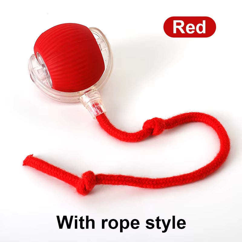 Dog and Cat Rechargeable Rolling Ball 