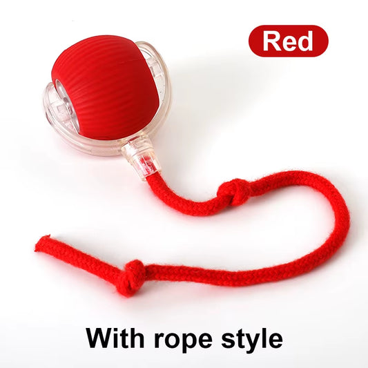 Dog and Cat Rechargeable Rolling Ball 