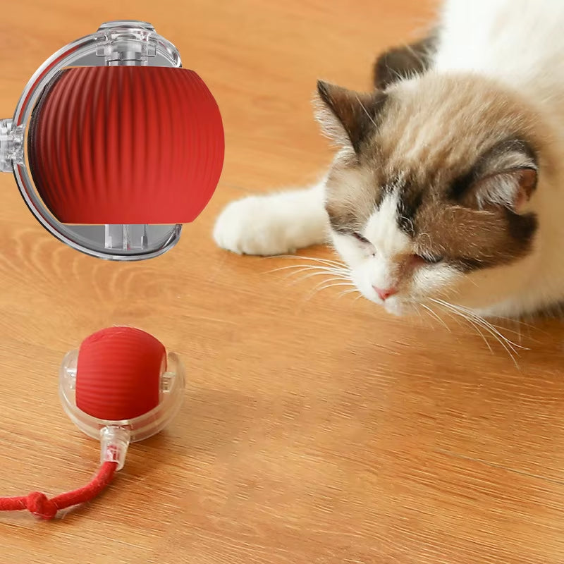 Dog and Cat Rechargeable Rolling Ball 