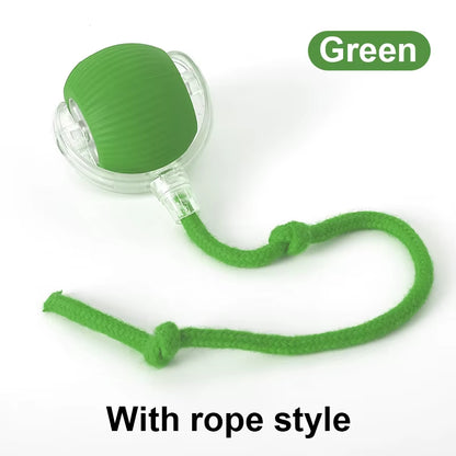 Dog and Cat Rechargeable Rolling Ball 