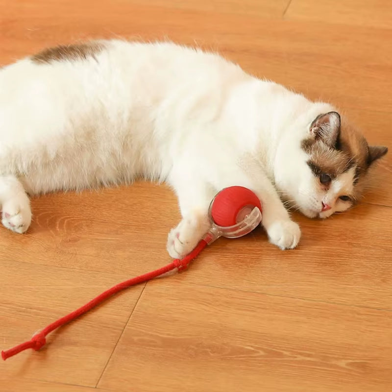 Dog and Cat Rechargeable Rolling Ball 