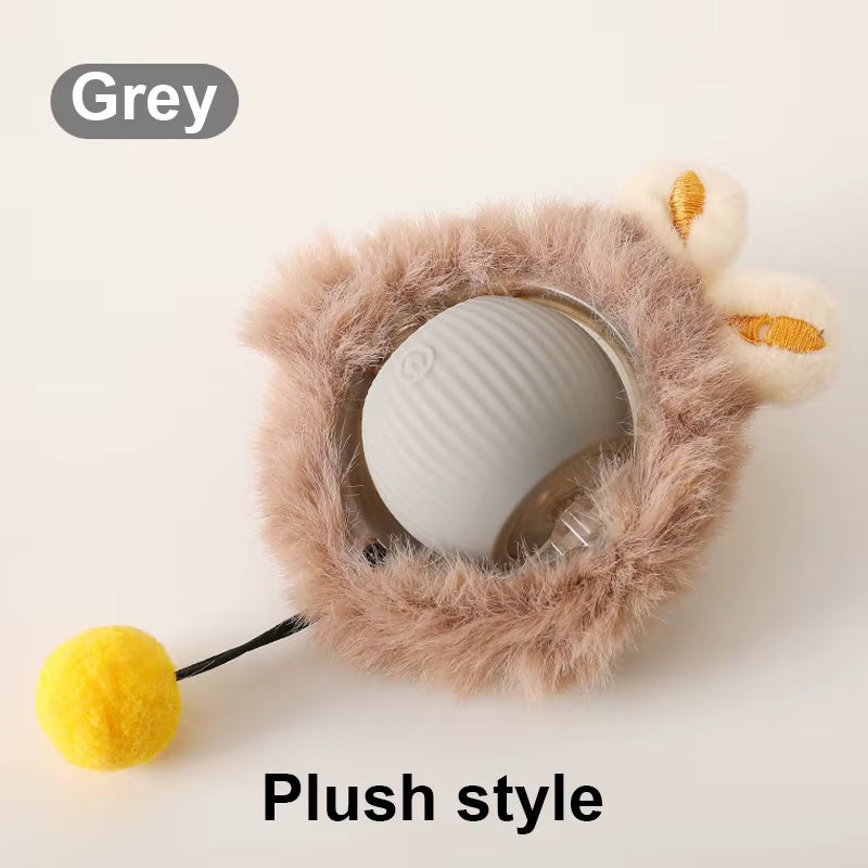 Dog and Cat Rechargeable Rolling Ball 