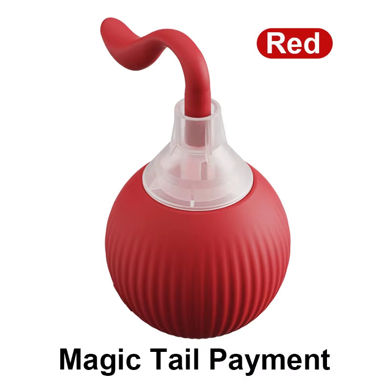 Dog and Cat Rechargeable Rolling Ball 