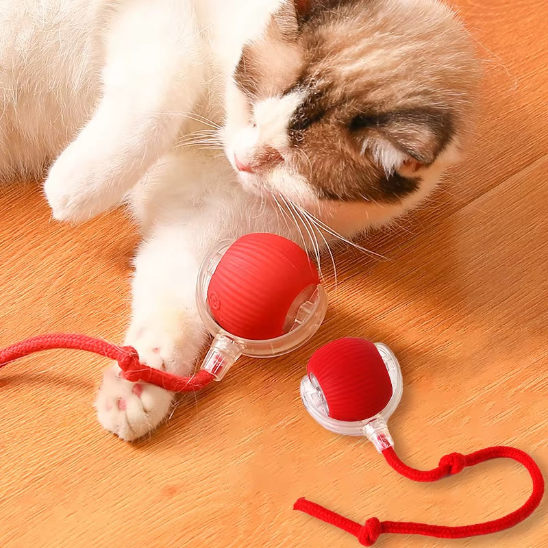 Dog and Cat Rechargeable Rolling Ball 