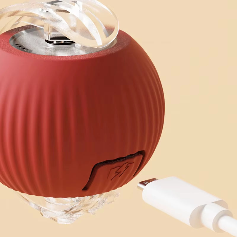 Dog and Cat Rechargeable Rolling Ball 