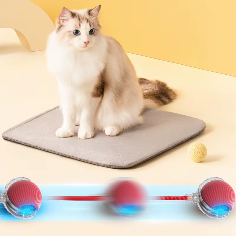 Dog and Cat Rechargeable Rolling Ball 