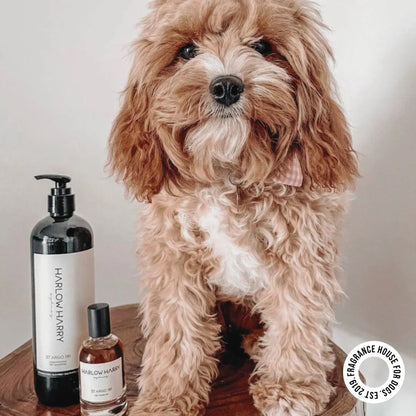The Bougie-Est Dog Bundle